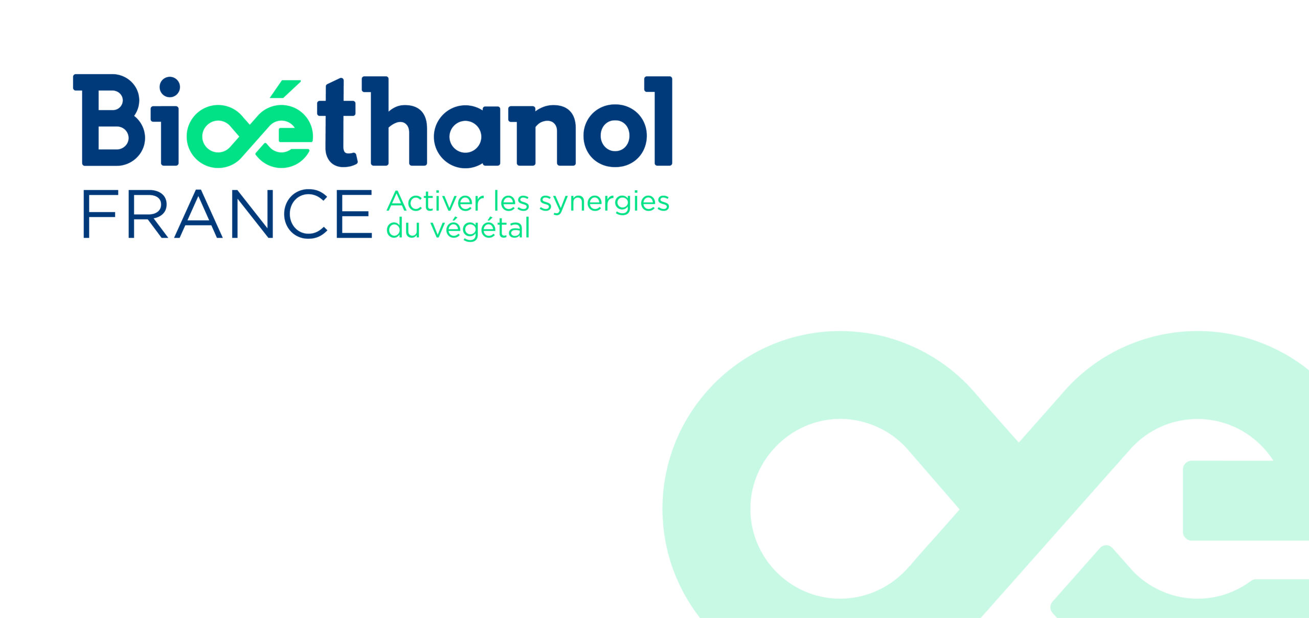 Identité Visuelle Communication Bioethanol - d'Artagnan